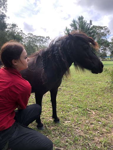 Hoofbeats Sanctuary’s Go Remarkable Equine Therapy Program for Girls