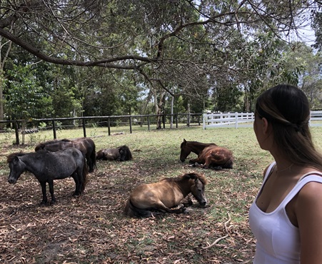 Hoofbeats Sanctuary’s Go Remarkable Equine Therapy Program for Girls