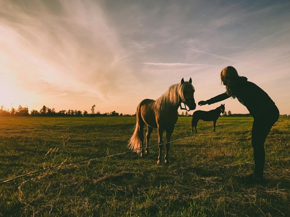 Hoofbeats Sanctuary’s Go Remarkable Equine Therapy Program for Girls